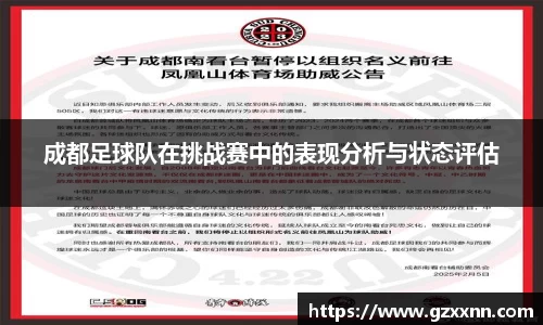 成都足球队在挑战赛中的表现分析与状态评估